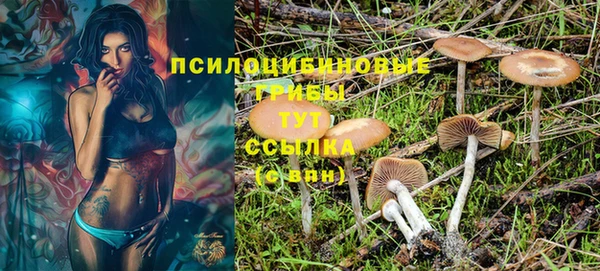 стаф Иннополис
