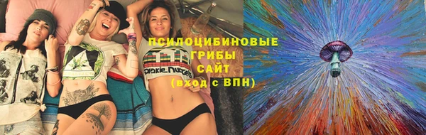 стаф Иннополис