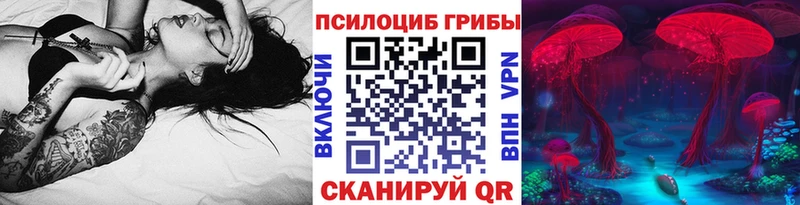 Купить где  Северобайкальск  Галлюциногенные грибы Psilocybe 